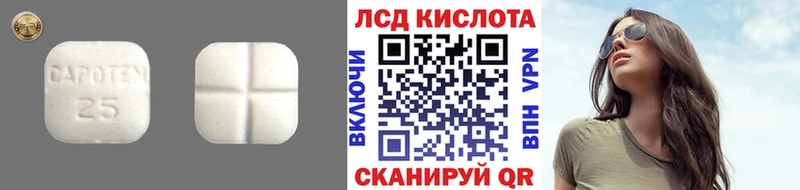 мега зеркало Орлов Лсд 25 экстази ecstasy