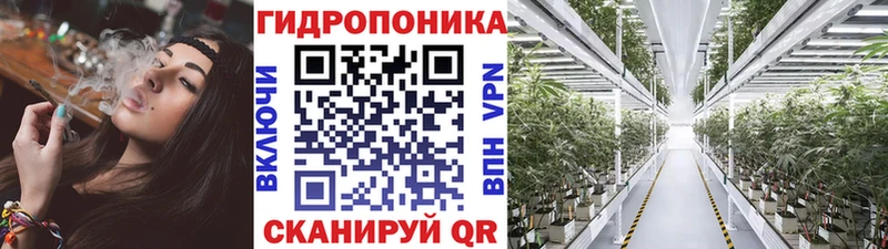 Бошки Шишки индика  Орлов 